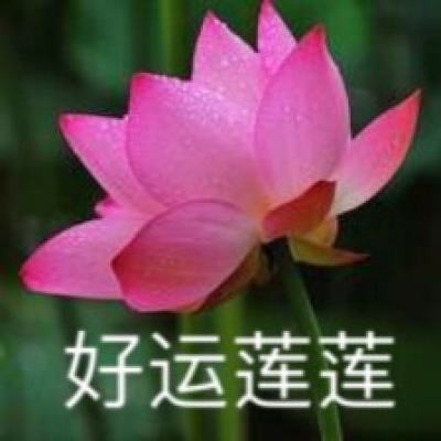 kaiyun·体育下载手机版